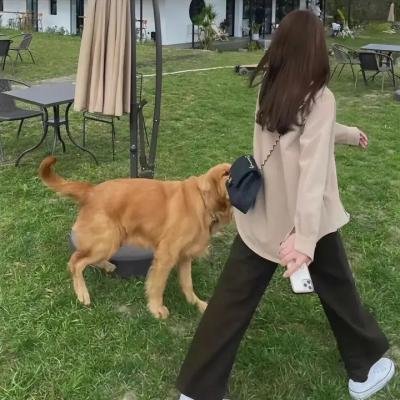 女子戏班